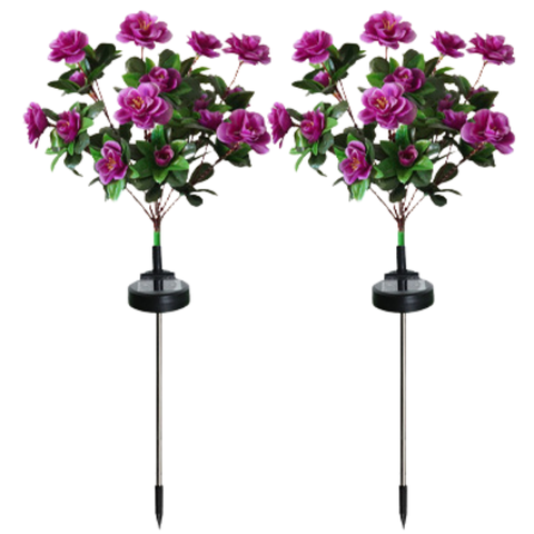 Lampa Solară Set 2 x Trandafiri Roz cu 7 Flori LED M373-8, Decor Floral de Gradina, IP66, 60cm, Iluminare Calda