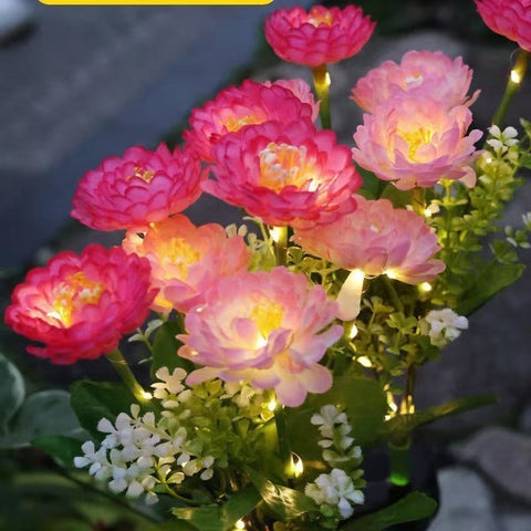 Set 2 Lampi Solare Decorative Bujori Roz M374-2, 60cm cu panou solar integrat – iluminat ambiental gradina