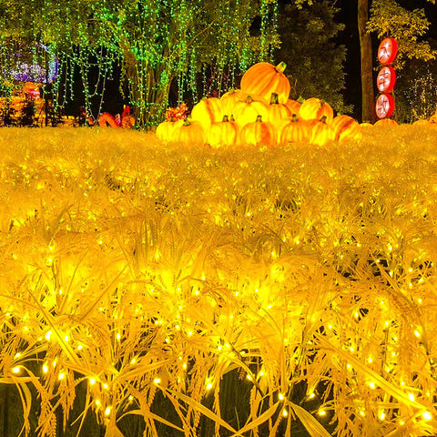 Set 2 Lampi Solare Decorative Spice de Grau M374-16, 60cm, IP66, LED cu Senzor Lumina