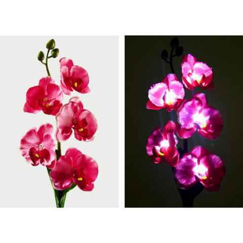 Set 2 x Lampi Solare Orhidee cu LED – Decor Romantic pentru Gradina, Tarus si Panou Solar