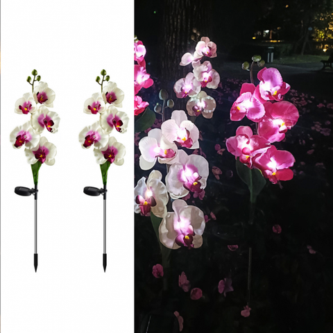 Set 2 x Lampi Solare Orhidee cu LED – Decor Romantic pentru Gradina, Tarus si Panou Solar